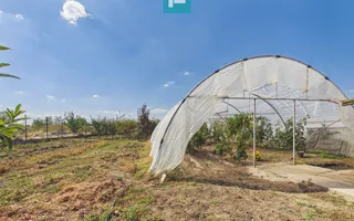 Casă spatioasă în Macea, județul Arad - Poză 23