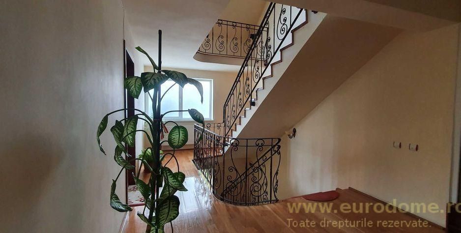 Inchiriere Spatii Comerciale in Brasov - Poză 8