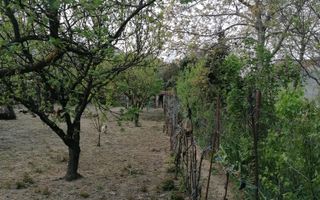 Ag EUROPA vinde casa 6 cam teren 11 ari în zona 14 Mai. - Poză 5