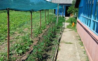 Casă locuibilă cu 3 camere și teren 4000 mp, Popesti, Iași - Poză 2
