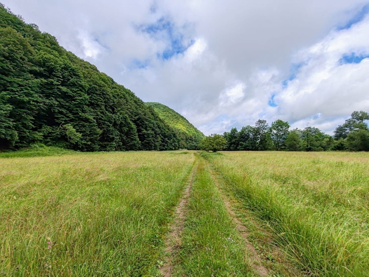 2,8 Ha Teren Extravilan cu Pârâu - Negreni, Cluj - Poză 1