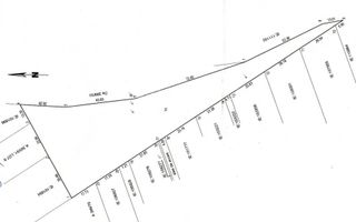 Teren Intravilan 5.000 mp – Perfect pentru Parc Fotovoltaic, Hale sau Lotizare - Poză 2