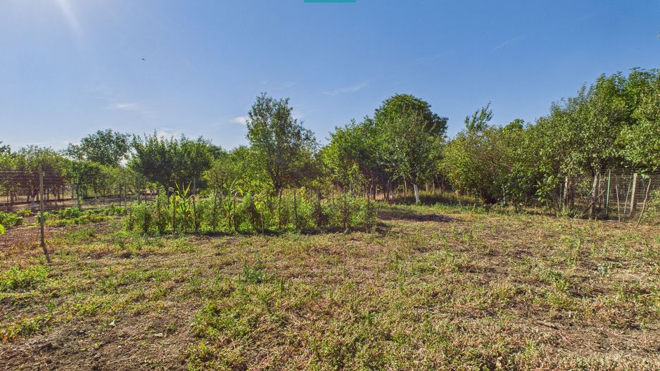 Casă 4 camere centru Vinga - Poză 15