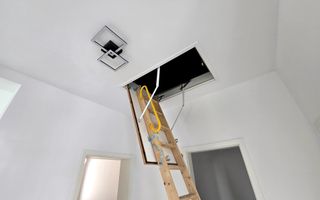 Duplex pe parter cu 3 camere in Covaci - Poză 5