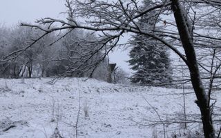 Teren cu izvor de apă minerală  Dangești, Punctul Valea Mare - Poză 6