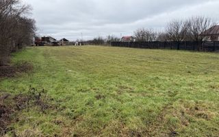 Teren de Vanzare Gradistea Sitaru - Poză 7