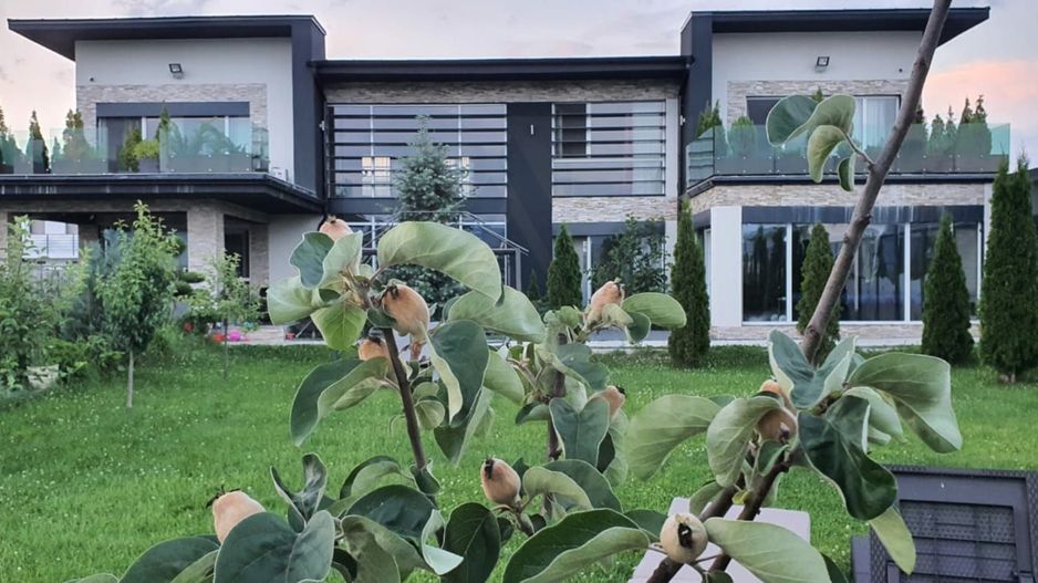 Vila ultrafinisata 550 mp utili si 2000 mp teren amenajat in Sibiu - Poză 2