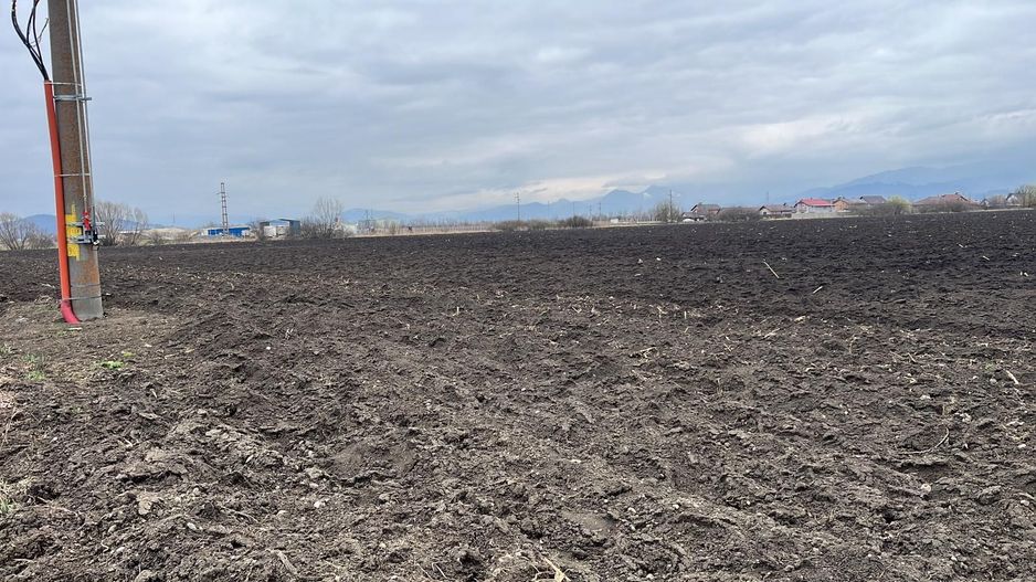 Teren 50000mp Extravilan-Intrare Halchiu-Cod 5235 - Poză 6