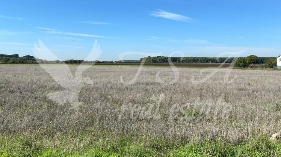 Teren Intravilan 825mp Cu dubla deschidere si Drum de servitute, Dascalu  Ilfov - Poză 10