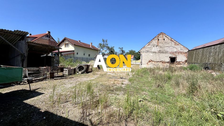 Teren Împrejmuit, 3514mp, Asfalt, Ciugud - Poză 8