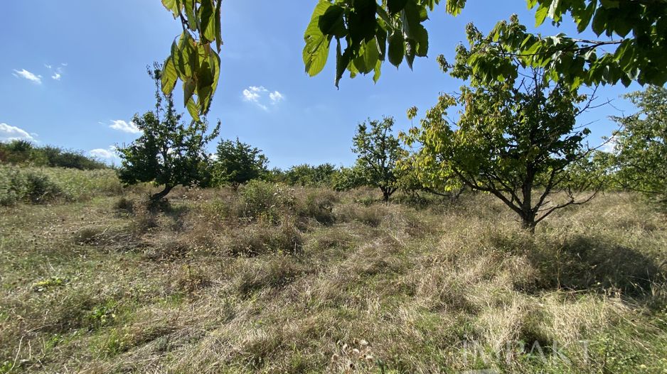 Teren 802 m2 Faget cu PUZ aprobat - Poză 2