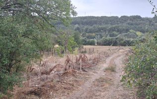 Teren Intravilan/Extravilan de vanzare in Bradestii Batrani