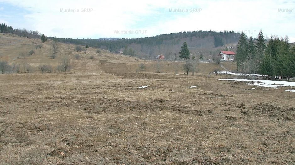 VALEA DOFTANEI - Traisteni, langa Conacul Dascalu, vanzare 2.537 mp. teren - Poză 15