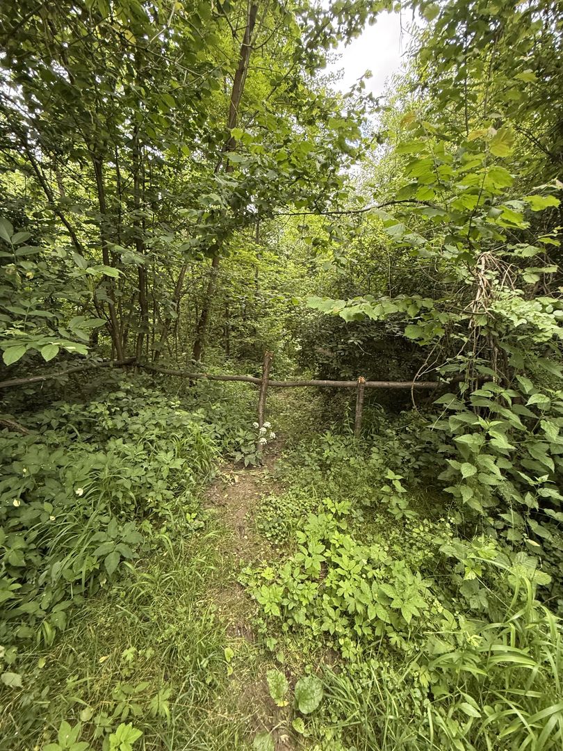 Teren plat-intravilan -3800 mp, cu pădurice și ieșire la râu! - Poză 24