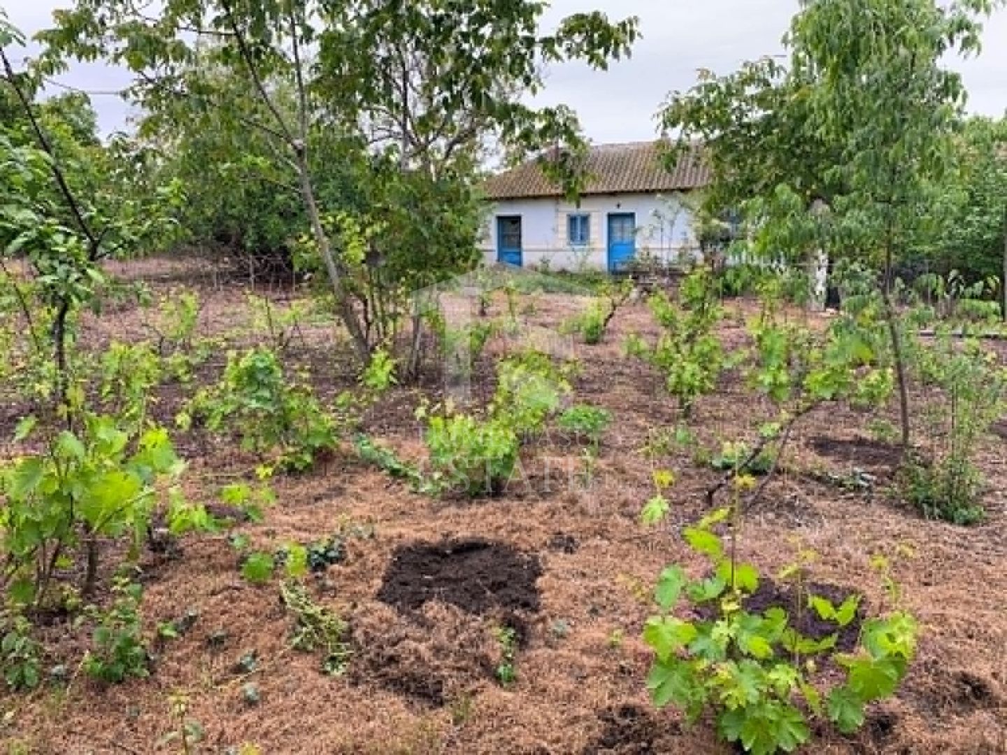 Teren intravilan 2562mp Loc 23 August | Ideal locuiță sau casă vacanță - Poză 5