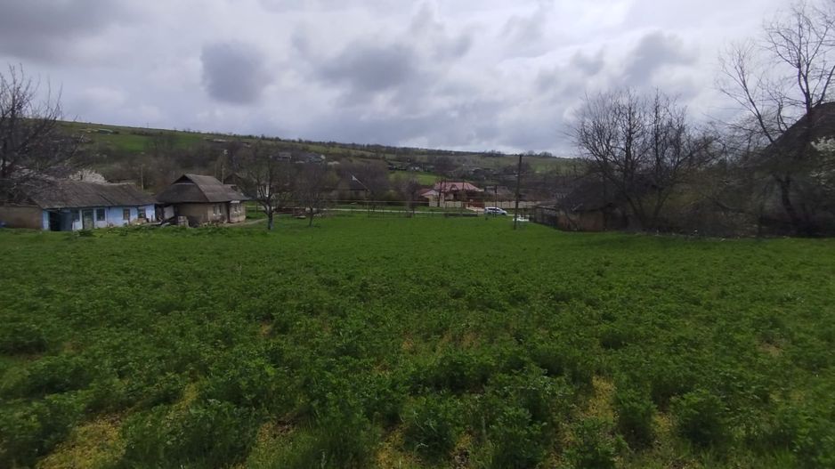 Teren pentru construcții/prima linie – 17,5 ari, Botnăreștii Vechi, Raionul Anenii Noi - Poză 11