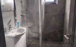 CASĂ PLAN PARTER  - LUNCA CETĂȚUII  490 MP TEREN - Poză 11