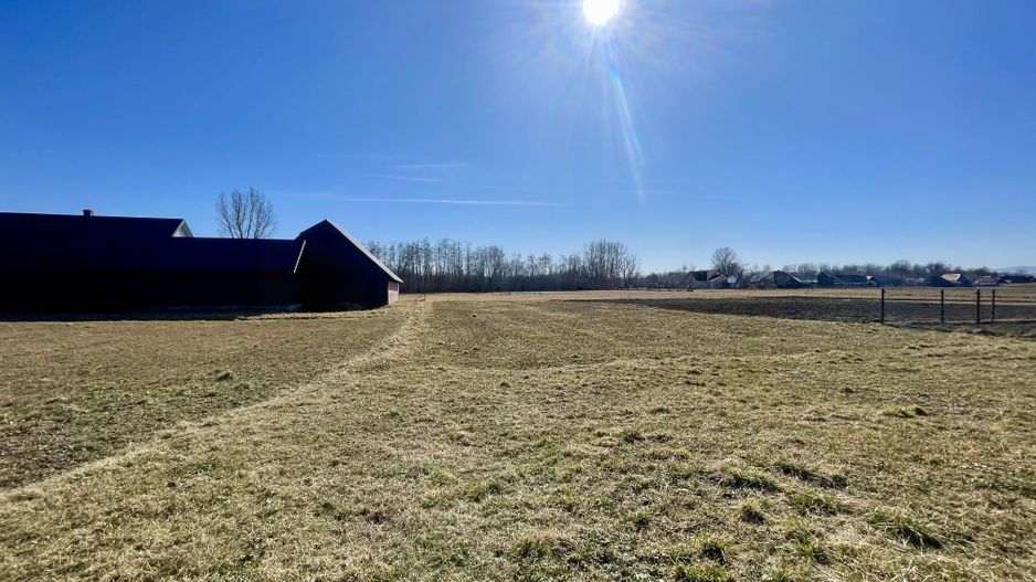 CASA RENOVATA + TEREN 3100 MP | CURTE SI GRADINA | FRATAUTII NOI - Poză 25