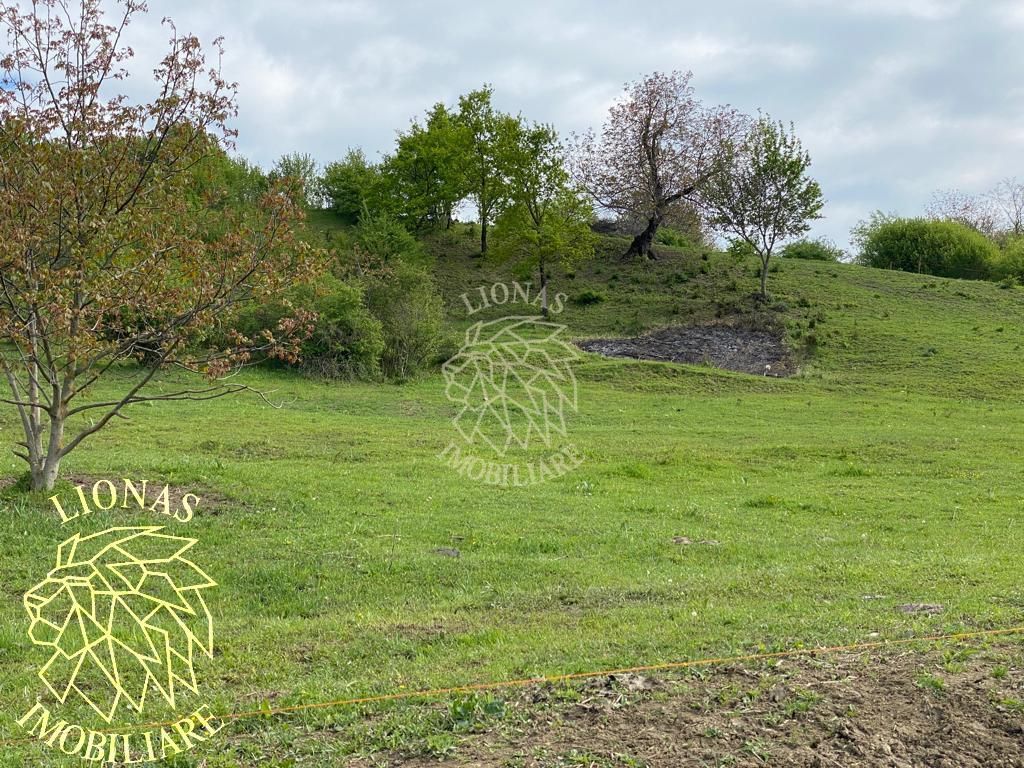 Teren 5000 mp-ideal investitie-Ghinda - Poză 4