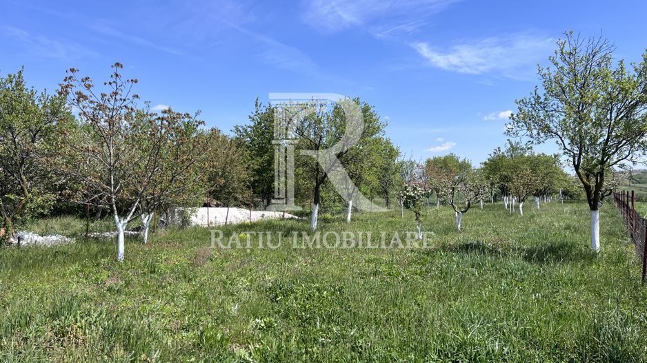 Casă de vacanță + livadă | teren 3000 mp | Chijic | Bihor - Poză 13
