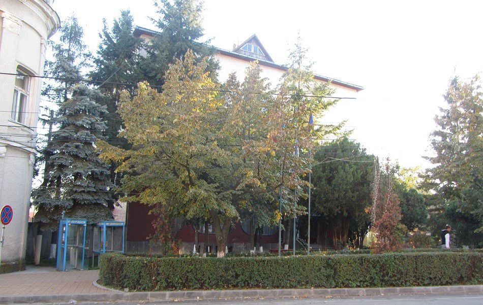 Cladire comerciala Simleu Silvaniei - Poză 3