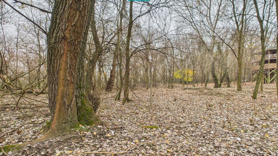 Teren pe malul Muresului- oportunitati multiple - Poză 32