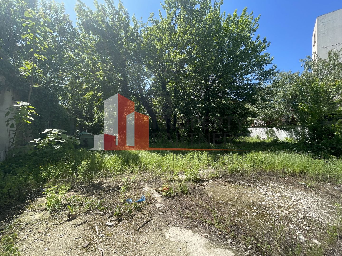 Teren de vanzare Regie - Poză 8