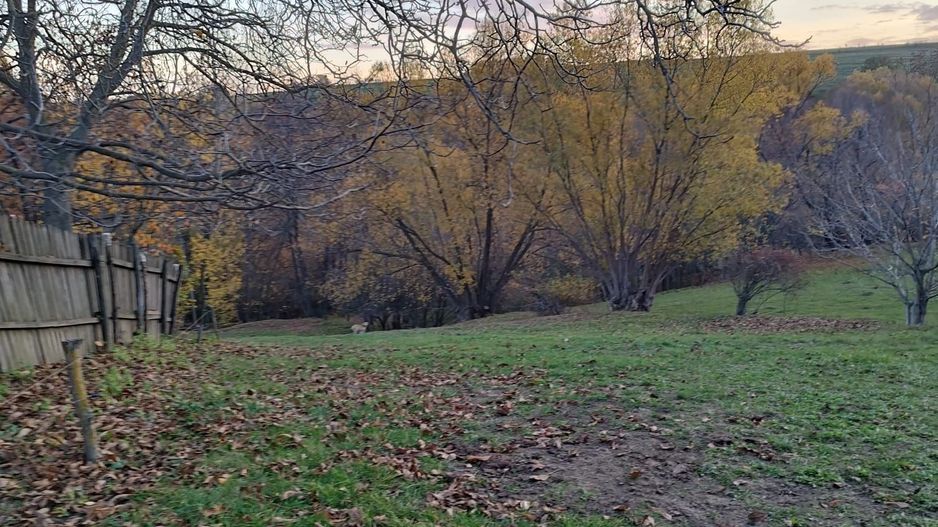 Teren intravilan | Mănăstioara – Siret | 2.200 mp - Poză 8