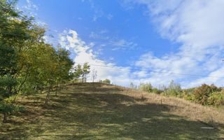 Teren intravilan 3.247 mp, oportunitate afacere, Slănic, Prahova - Poză 5