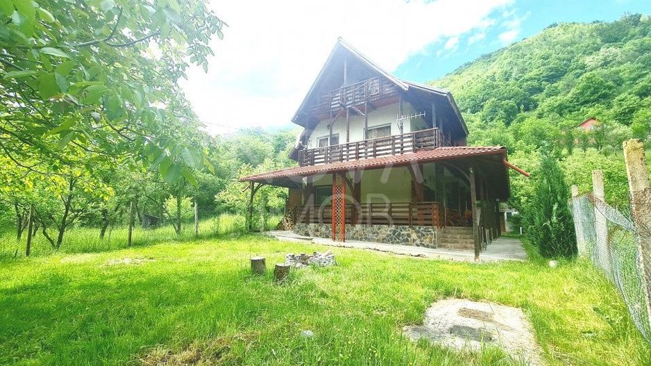 Casa de vacanta - Valea Lotrioarei, Sibiu - Poză 2