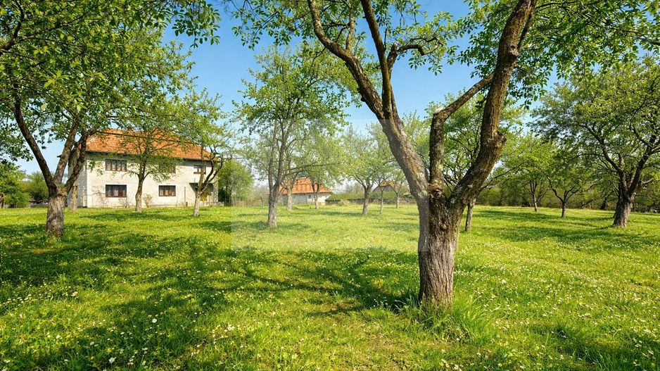 Proprietate cu potențial pensiune – sat Masca, 45 km Cluj - Poză 2