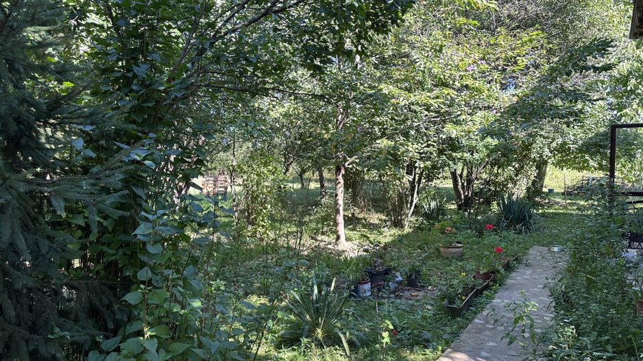 Vanzare casa in Pucioasa, Dâmbovița - 4 camere - teren 5.808 mp - Poză 30