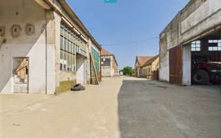 Complex industrial cu hale și teren  în Orțișoara - Poză 16