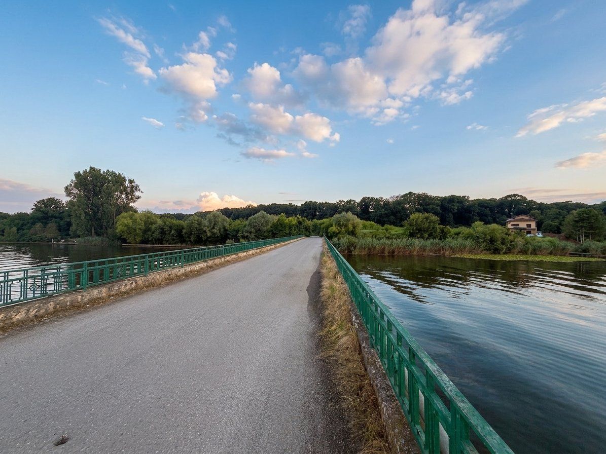 Teren în Snagov, intre Lac și Pădure - Poză 5