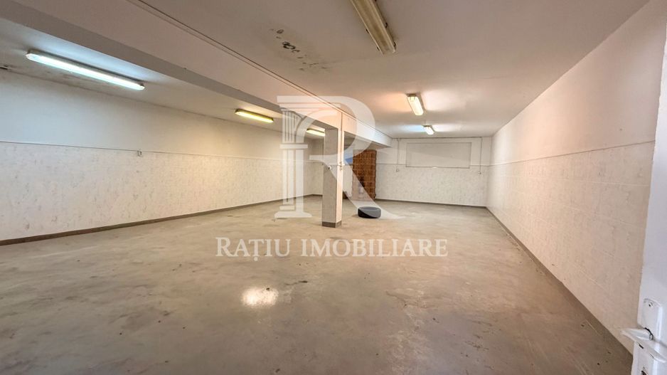 Casă cu Hală Industrială | Teren 3.200 mp | Ineu | Bihor - Poză 22