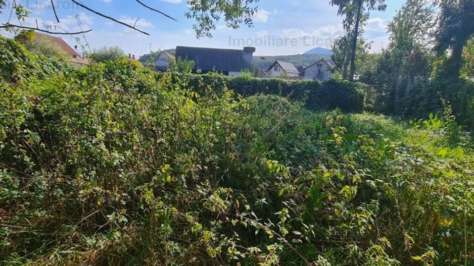 Casa individuala cu 3 camere,CODLEA - DUMBRAVITA ,65000 euro - Poză 9