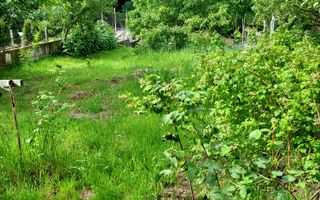 Teren de vis în Faget: Oportunitate unică pentru construirea casei tale ideale. - Poză 3