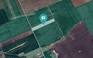 Teren 30.000 mp cu acces asfaltat – Peciu Nou - Poză 2