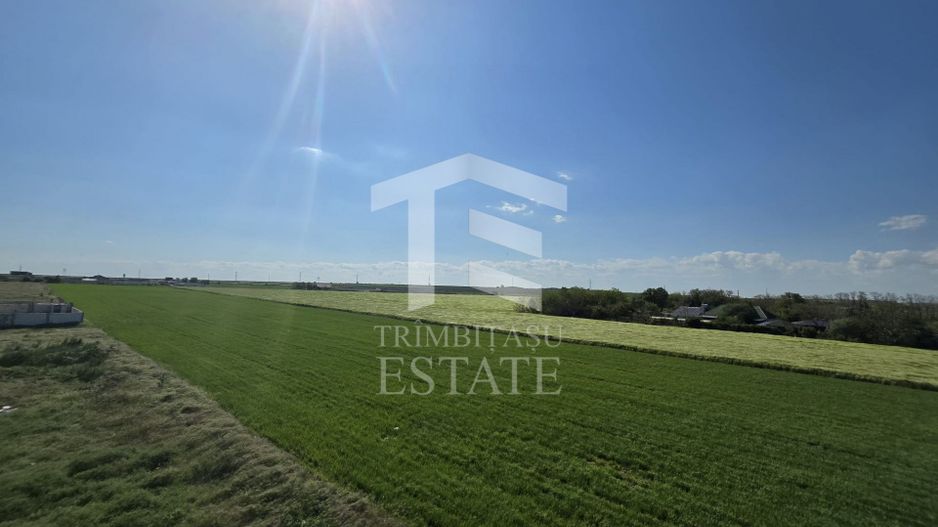 OVIDIU-POIANA- Vila tip duplex | terasa circulabila | gaz | curte - Poză 35