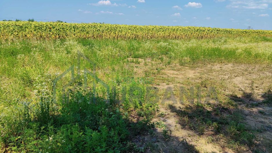 Teren intravilan de 1300 mp în sat Popricani, comuna Popricani, județul Iași - Poză 7