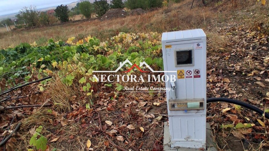 NECTORA IMOB-Teren Intravilan PALEU, 676 mp, Autorizatie Constructie - Poză 2