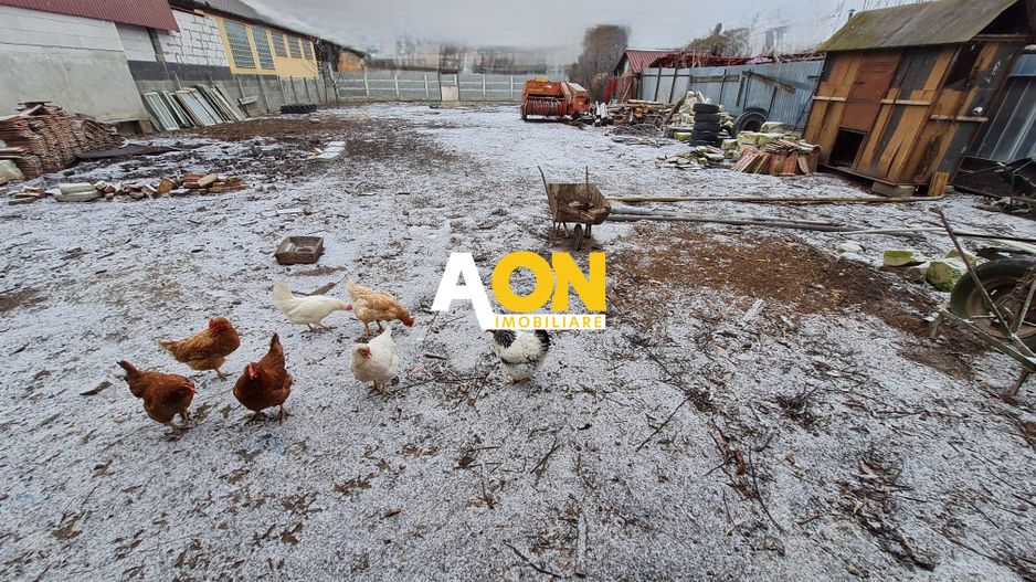 Casa 5 Camere, 143 mp + Anexa 65 m, Teren 1061 mp, Centru - Poză 4