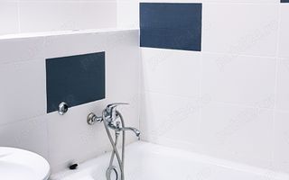 PENTHOUSE  Tatarasi - Green Park - Poză 10