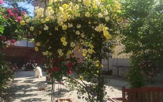 Vila deosebita, teren 800 mp, piscina, zona Dristor – Mall Park Lake - Poză 18