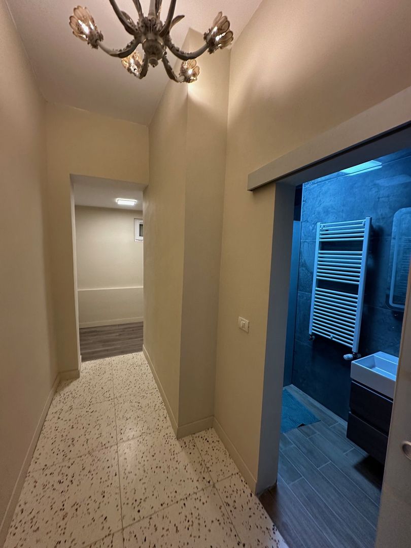 Casa Lipovei transformata in SAD - Poză 11