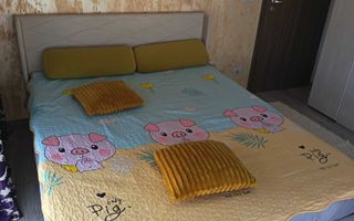 Apartament 2 camere Giroc - Poză 6