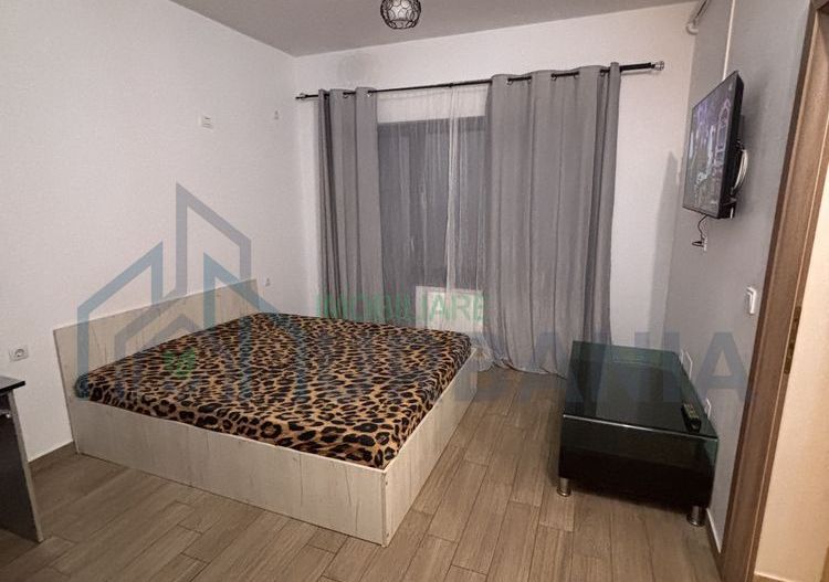Apartament 1 cameră decomandat, Hlincea - mobilat, cu parcare și grădină - Poză 2