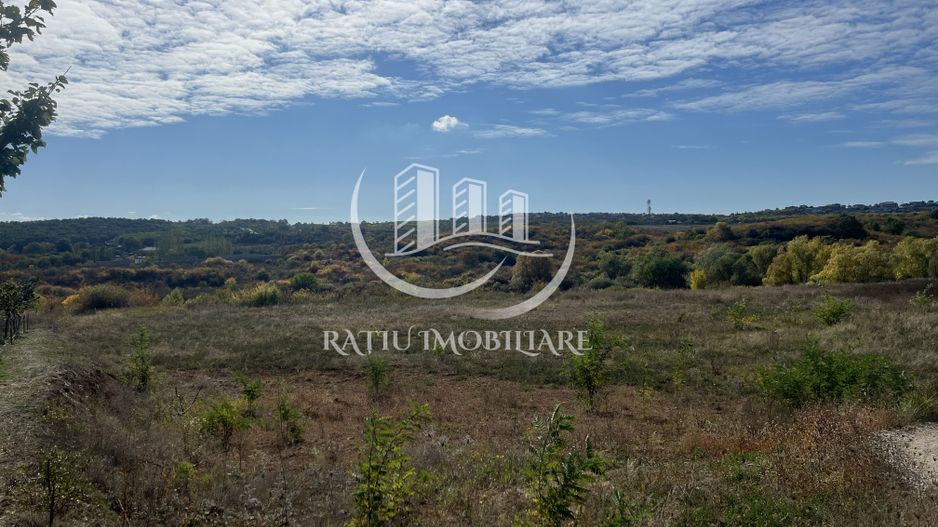 Teren intravilan 3961 MP | Paleu | Bihor - Poză 2