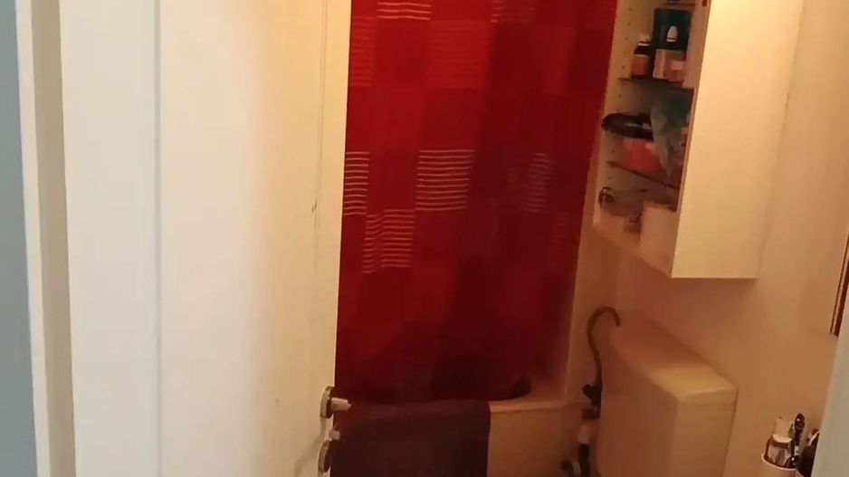 garsoniera - Lucretiu Patrascanu - Costin Georgian - Poză 5