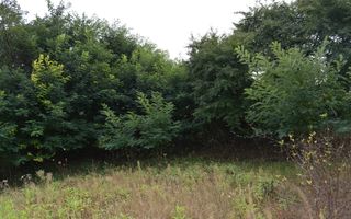 Casă de vânzare în Sfântu Ilie și teren 2000 mp - Poză 44